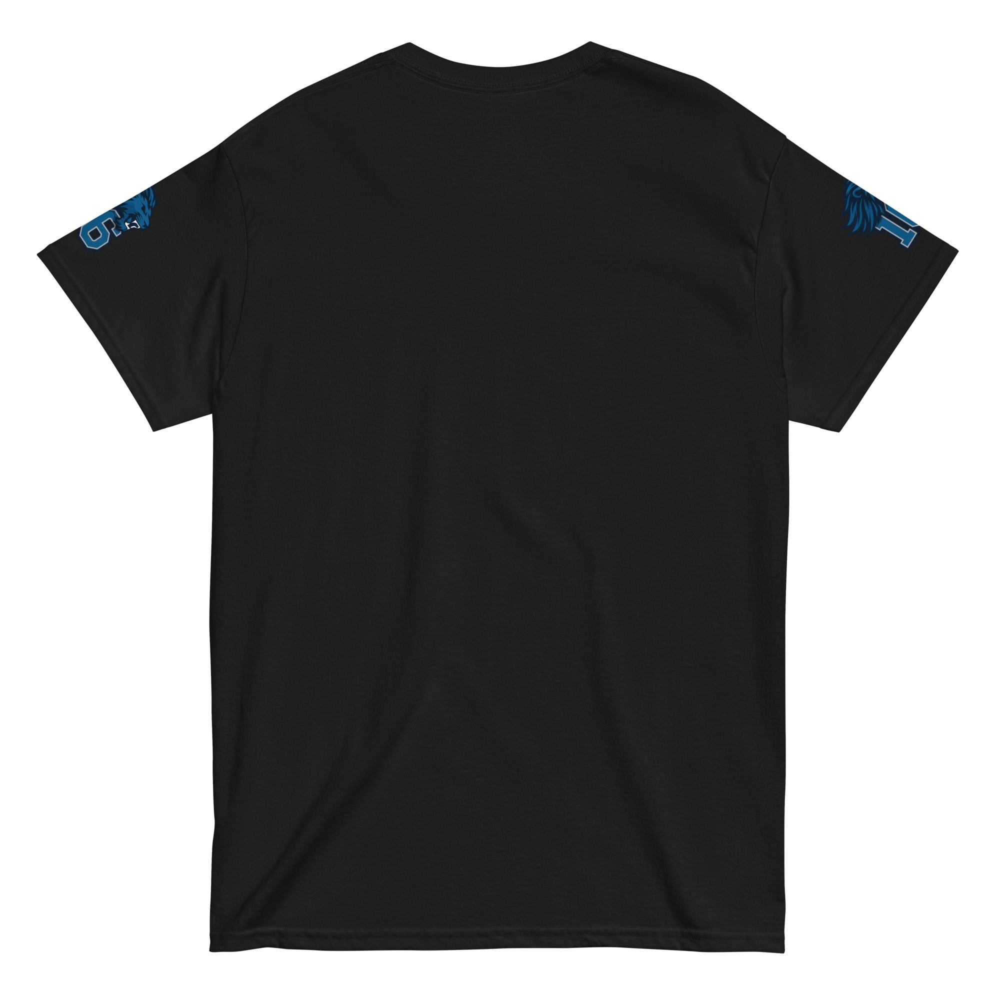 Lions Goff “Gridiron” Unisex Classic Tee
