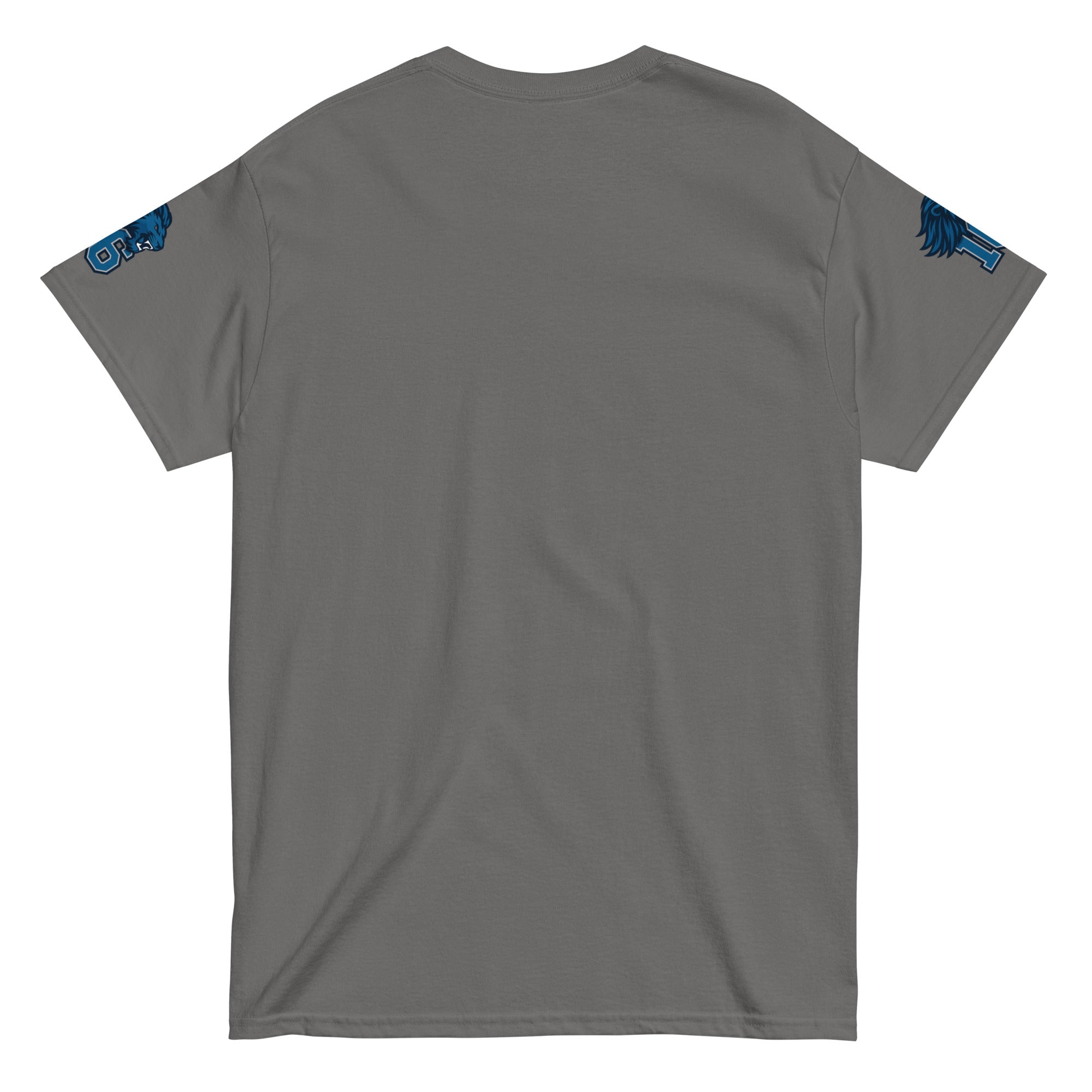 Lions Goff “Gridiron” Unisex Classic Tee