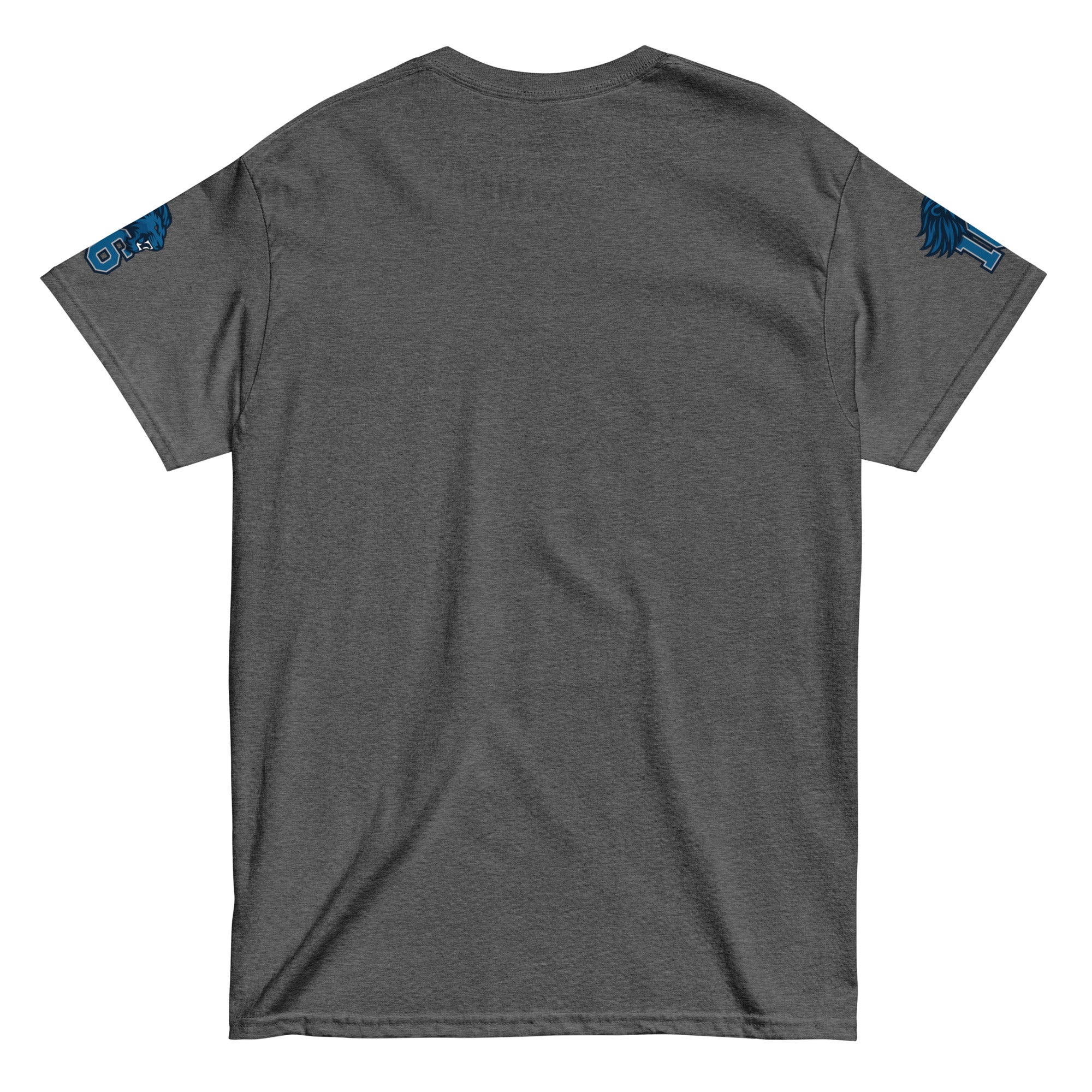 Lions Goff “Gridiron” Unisex Classic Tee