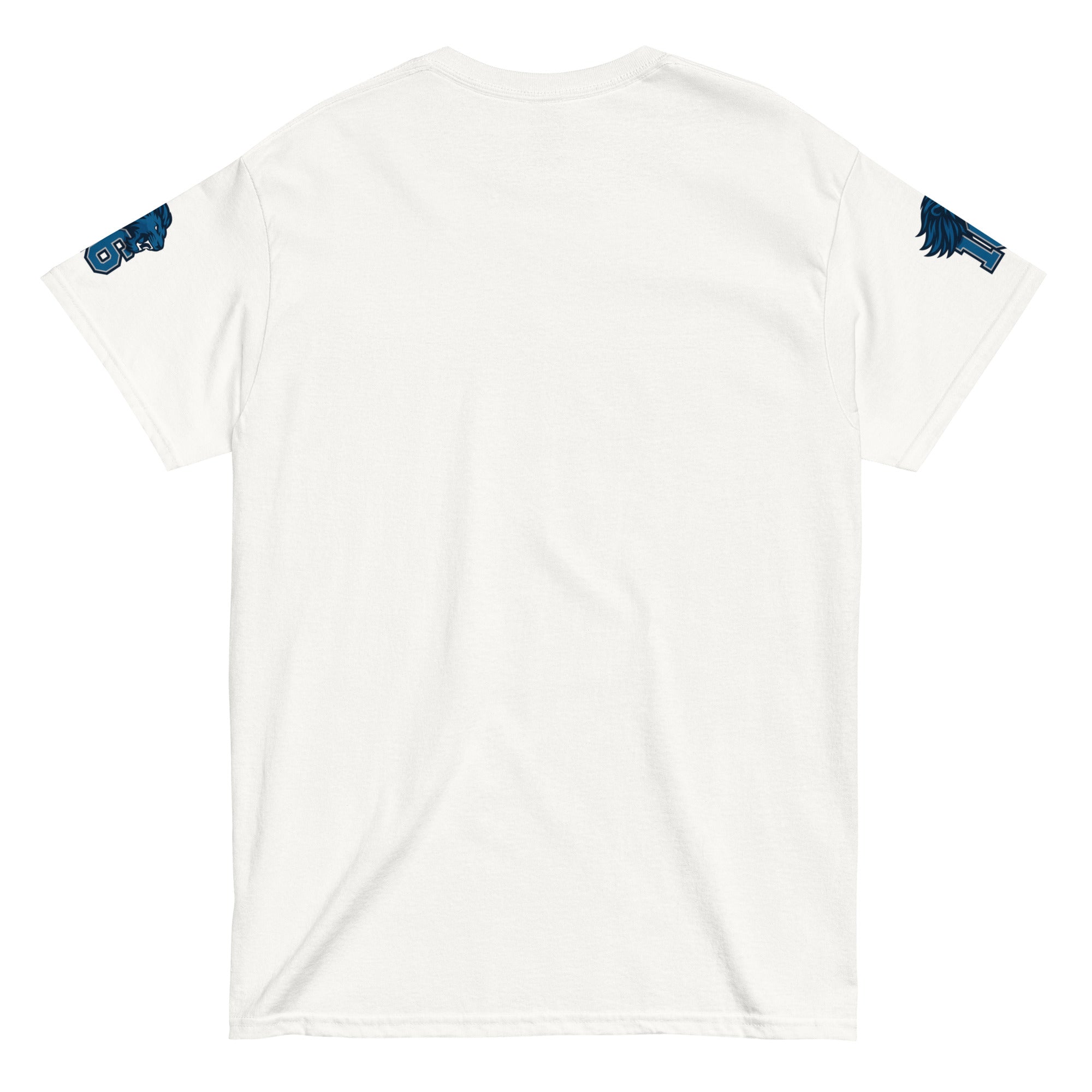 Lions Goff “Gridiron” Unisex Classic Tee